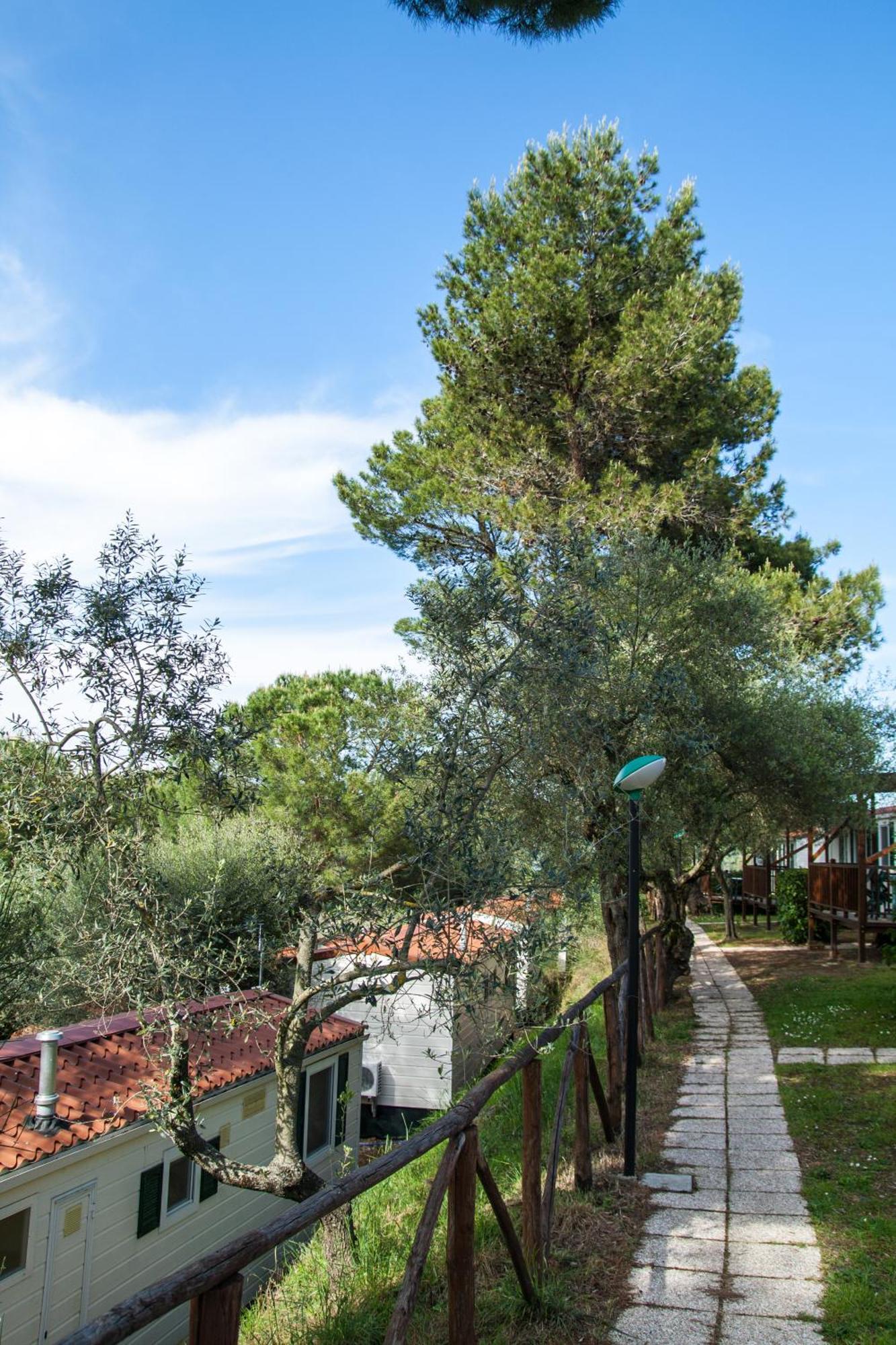 Campsite Cerquestra Village 3*