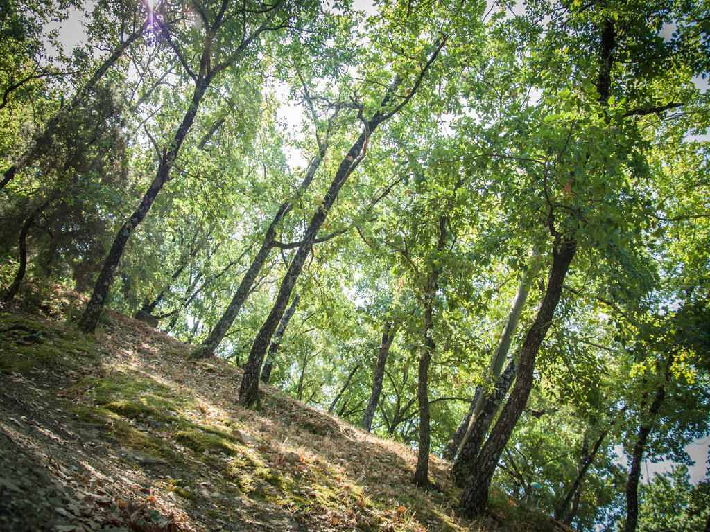 Camping Cerquestra Village
