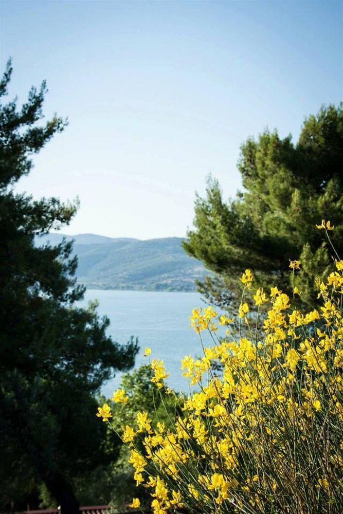 Cerquestra Village Campsite